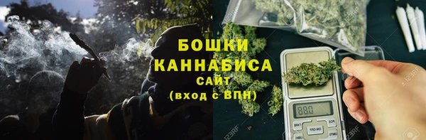 стаф Снежинск