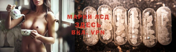 стаф Снежинск