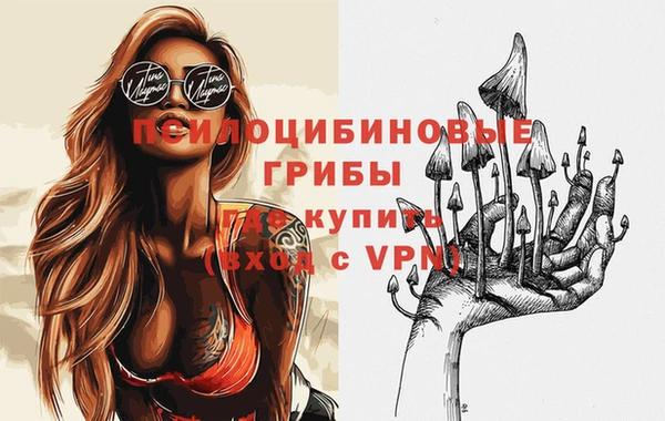 стаф Снежинск