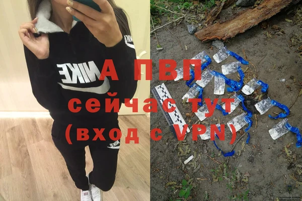 СК Алексеевка