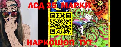 амф Кандалакша