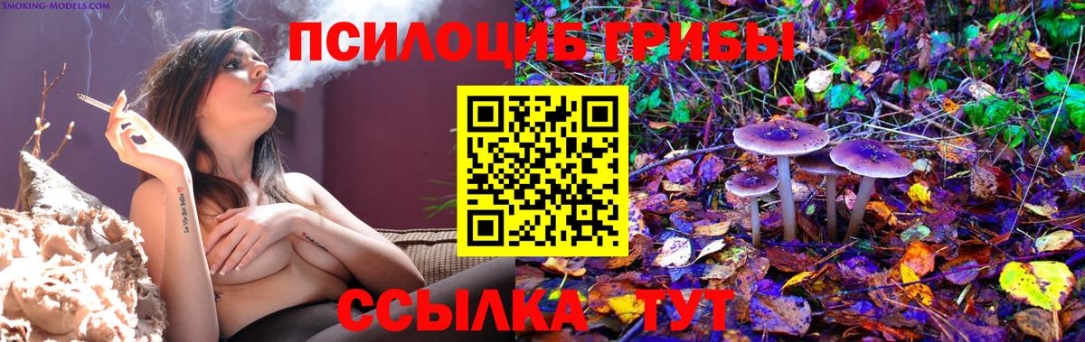 Нефтекумск  купить  сайты  Галлюциногенные грибы Cubensis  Вход с VPN  Галлюциногенные грибы Magic Shrooms 