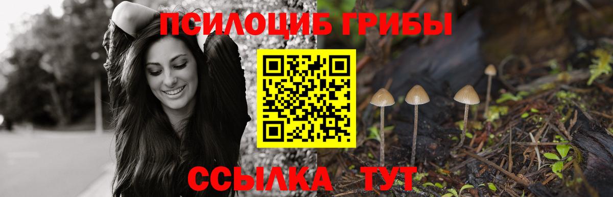 Кодеин  Нефтекумск  Вход с VPN  COCAIN  МЕФ кристаллы  Каннабис  Гашиш 