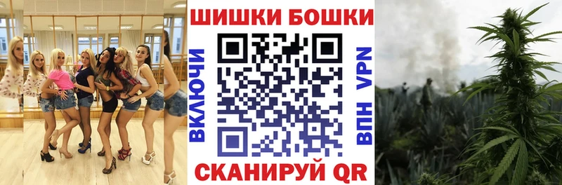 Конопля SATIVA & INDICA  где найти наркотики  Нефтекумск 